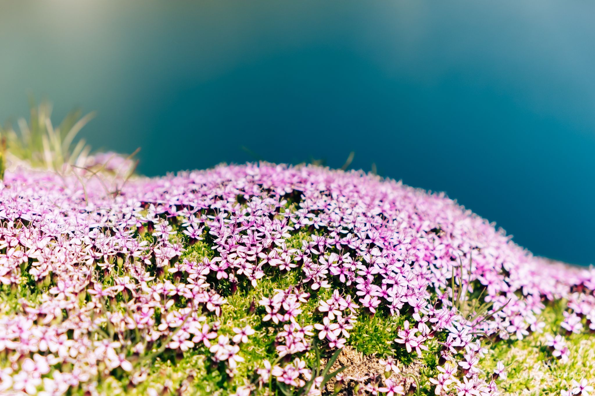 Kofelraster Seen und Hoher Dieb